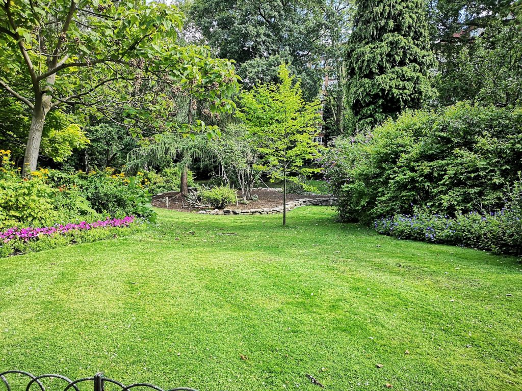 home landscape, Invasive Tree Species