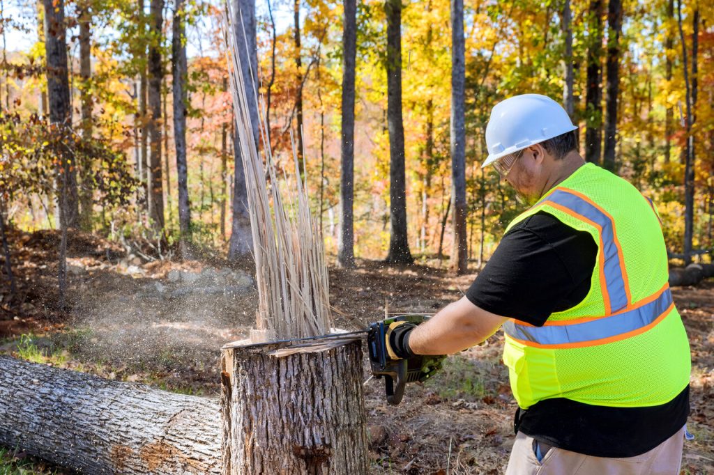 stump grinding